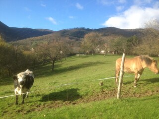 Ausblick OST (Nachbar)