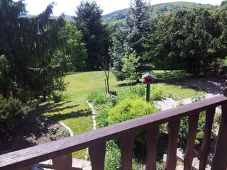 Garten Sud seite