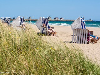 Ostseestrand Weidefeld
