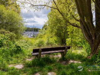 Ferienwohnung Hooksiel  22