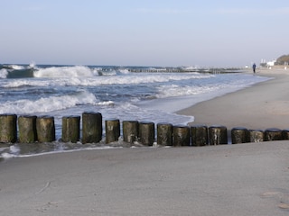 Ostseestrand 1