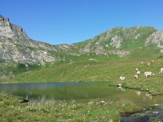 Appartamento Kaltenbach Ambiente 11