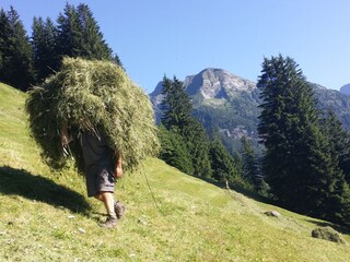 Appartamento Kaltenbach Ambiente 12