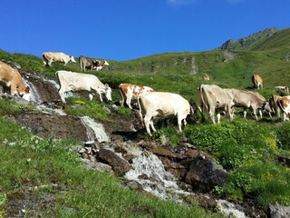 Appartamento Kaltenbach Ambiente 13