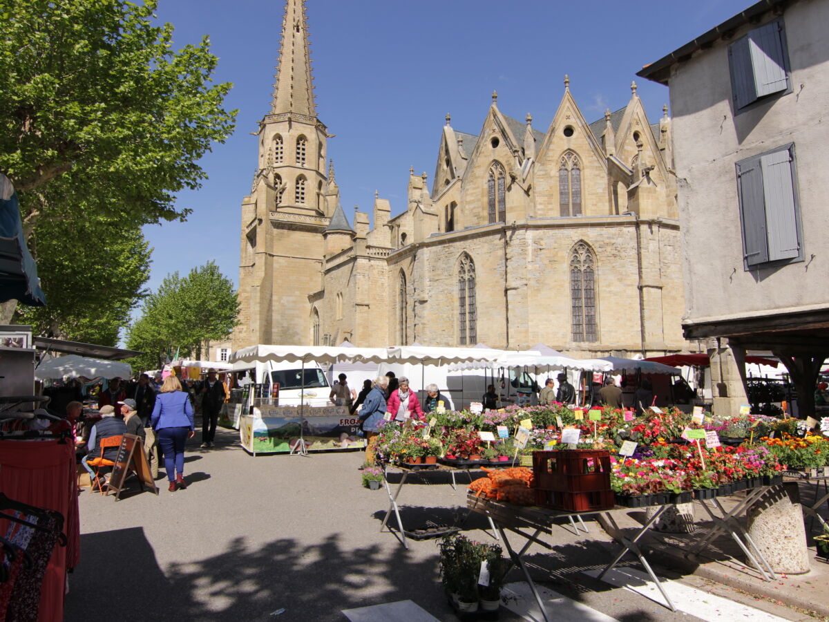 Markt in Mirepoix