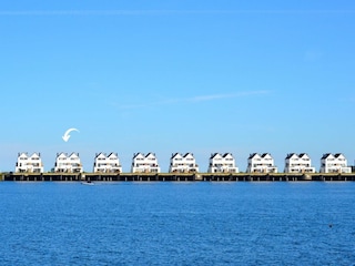 Ferienwohnung Olpenitz Außenaufnahme 10