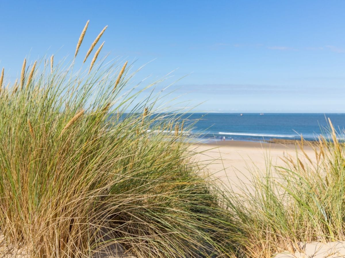 die Dünen und der gepflegte Strand