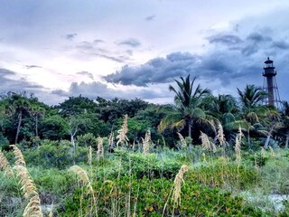 Villa Cape Coral Entorno 31