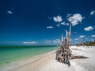 Sanibel Beach