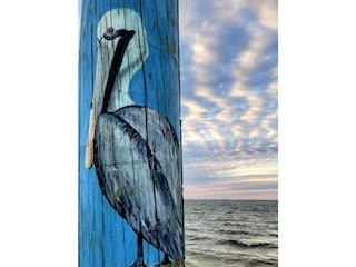 Villa Cape Coral Environment 37