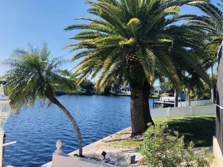 Beautiful palm garden