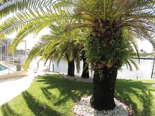 Villa Cape Coral Registrazione all'aperto 7