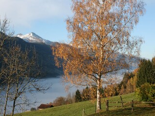 Blick ins Tal im Herbst