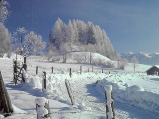 Appartamento per vacanze Taxenbach  38