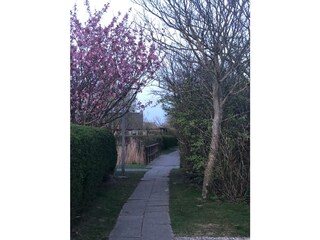 Casa per le vacanze Julianadorp Ambiente 22