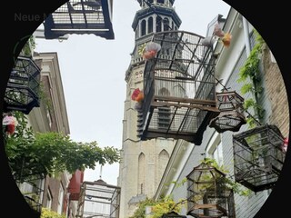Reigerstraat in Middelburg