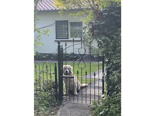 Hunde willkommen