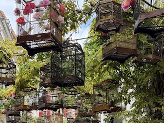 Reigerstraat in Middelburg