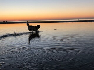 Casa per le vacanze Oostkapelle Ambiente 34