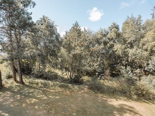 Holiday house St. Peter-Ording Environment 40