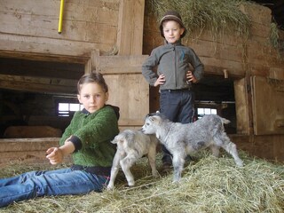 Appartamento per vacanze Andelsbuch Registrazione all'aperto 6