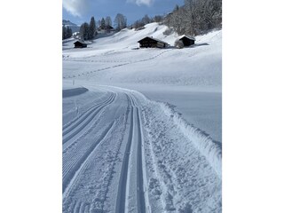 Holiday house Lenk - Simmental Outdoor Recording 5