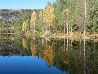 Vakantiehuis Åmli Omgeving 25