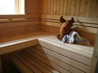 Vakantiehuis Åmli Kenmerken 21