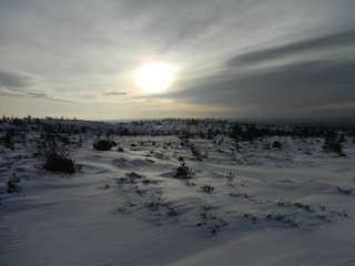 Weihnachten auf dem Havrefjell