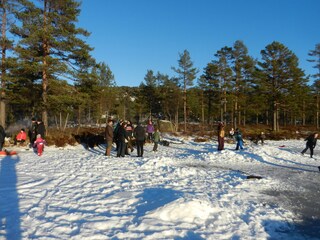Vakantiehuis Åmli Omgeving 32