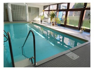 Pool Tiny Atelier Bad Harzburg