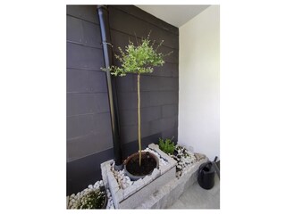 Balkon Tiny Atelier Bad Harzburg