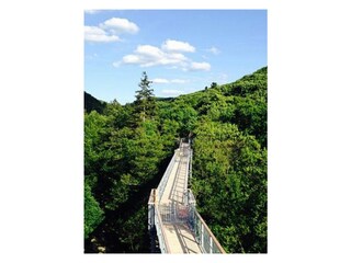 Baumwipfelpfad Bad Harzburg