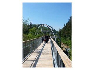 Baumwipfelpfad Bad Harzburg