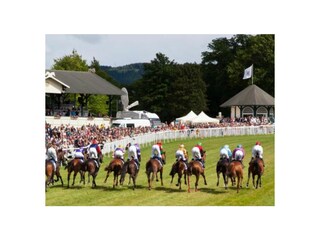 Holiday apartment Bad Harzburg Environment 25