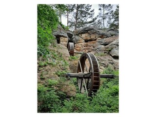 Holiday apartment Bad Harzburg Environment 32