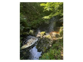 Holiday apartment Bad Harzburg Environment 34