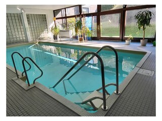 Tiny Atelier Bad Harzburg Pool