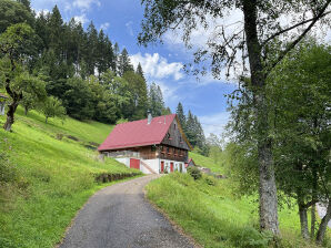 Ferienhaus Warratz - Schenkenzell - image1