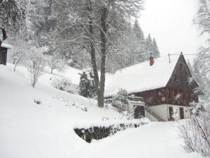 Ferienhaus Warratz - Schenkenzell - image1