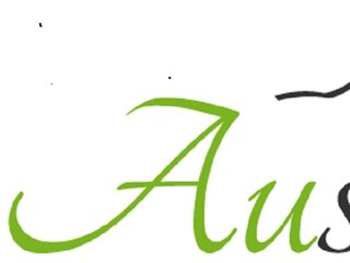 Appartamento per vacanze Hirschegg im Kleinwalsertal Documento 19