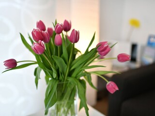 Apartamento de vacaciones Lindau am Bodensee Características 13