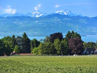 Vakantieappartement Lindau am Bodensee Buitenaudio-opname 4