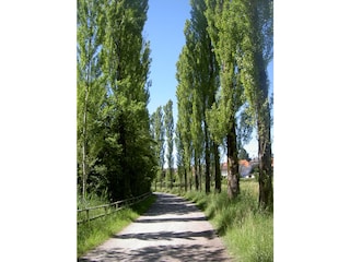 Appartement de vacances Lindau am Bodensee Environnement 22