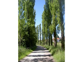 Vakantieappartement Lindau am Bodensee Omgeving 18