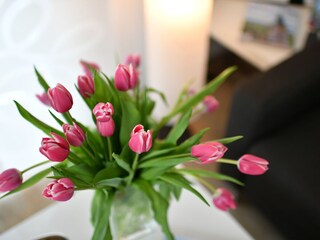 Vakantieappartement Lindau am Bodensee Kenmerken 14