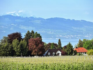 Apartamento de vacaciones Lindau am Bodensee Grabación al aire libre 4