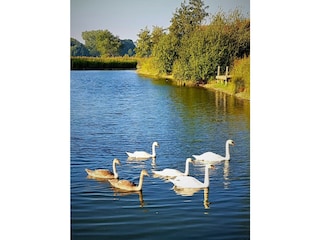 Casa per le vacanze Otterndorf Ambiente 37