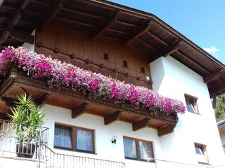 Appartamento per vacanze Mayrhofen Registrazione all'aperto 3