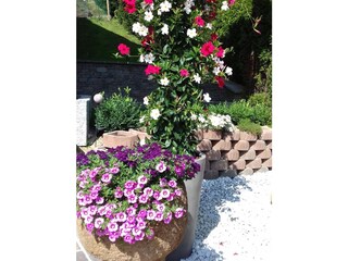 Vakantieappartement Mayrhofen Omgeving 25